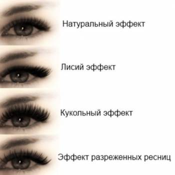 Фото с портфолио Terraprofi