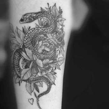 Fire Fox , Чернигов Фото - 7