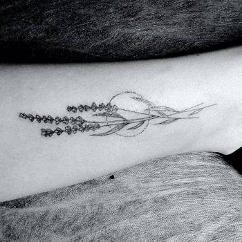 Fire Fox , Чернигов Фото - 8