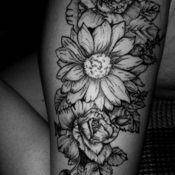 Fire Fox , Чернигов Фото - 10