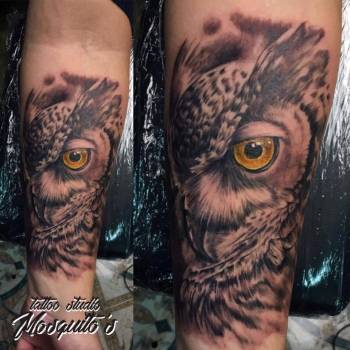 Николай Комарницкий, Ровно Фото - 39