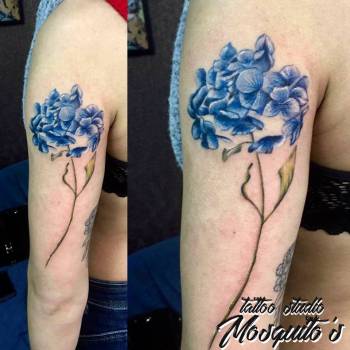 Николай Комарницкий, Ровно Фото - 50