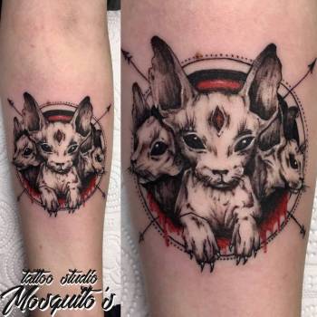 Николай Комарницкий, Ровно Фото - 15