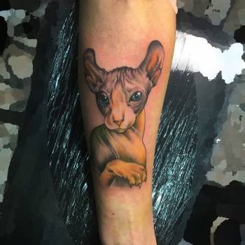 Николай Комарницкий, Ровно Фото - 8