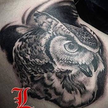 Фото с портфолио Ларик Коломиец 