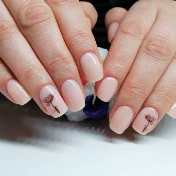 Glazur, Запоріжжя Фото - 5