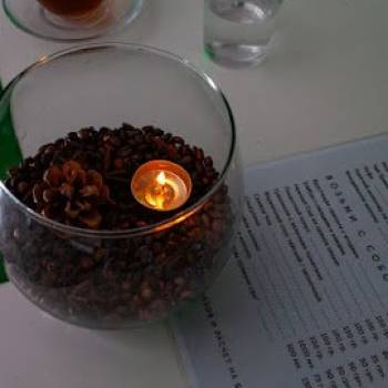 Human, Полтава Фото - 7