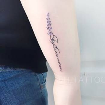 Фото с портфолио Paint House