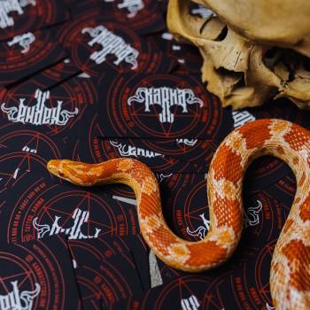 Николай Гончарук , Вінниця Фото - 40