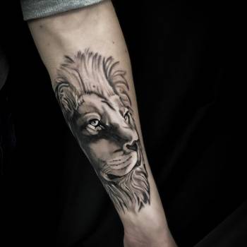 Фото с портфолио Сергей Карпенко 