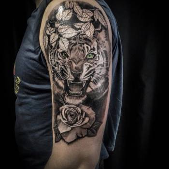 Фото с портфолио Сергей Карпенко 