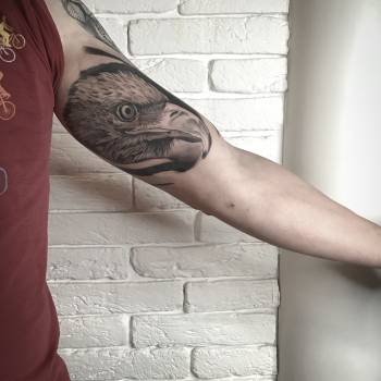 Фото с портфолио Сергей Карпенко 