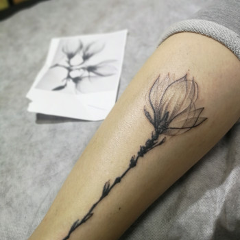 Фото с портфолио ТСТ