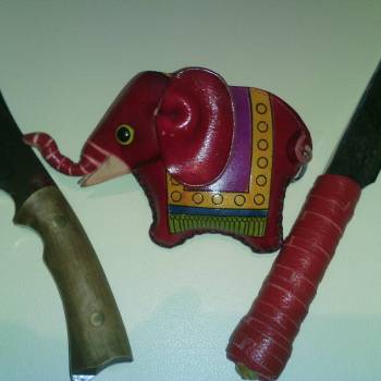 "Цілюще лезо"