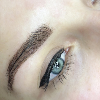 Пудровые брови татуаж
                    Мастер перманентного макияжа Лидия Киев