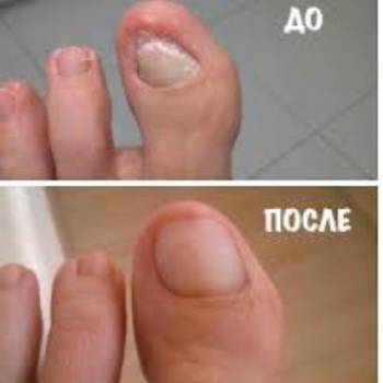 Фото с портфолио Юлия Савчук