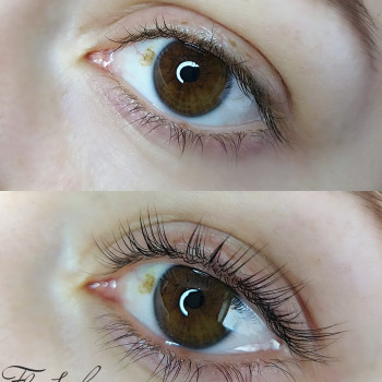 Ламинирование, ботокс, восстановление ресниц
                    Мастер перманентного макияжа Елена Днепр