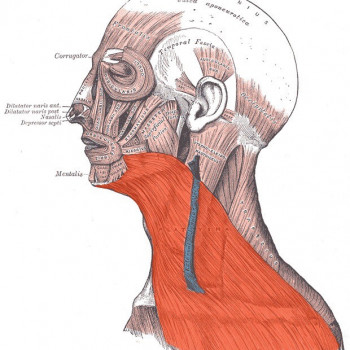 Массаж Угол молодости (лицо, шея, декольте)
                    Косметолог Елена Ивано-Франковск