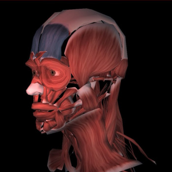 Массаж Угол молодости (лицо, шея, декольте)
                    Косметолог Елена Ивано-Франковск