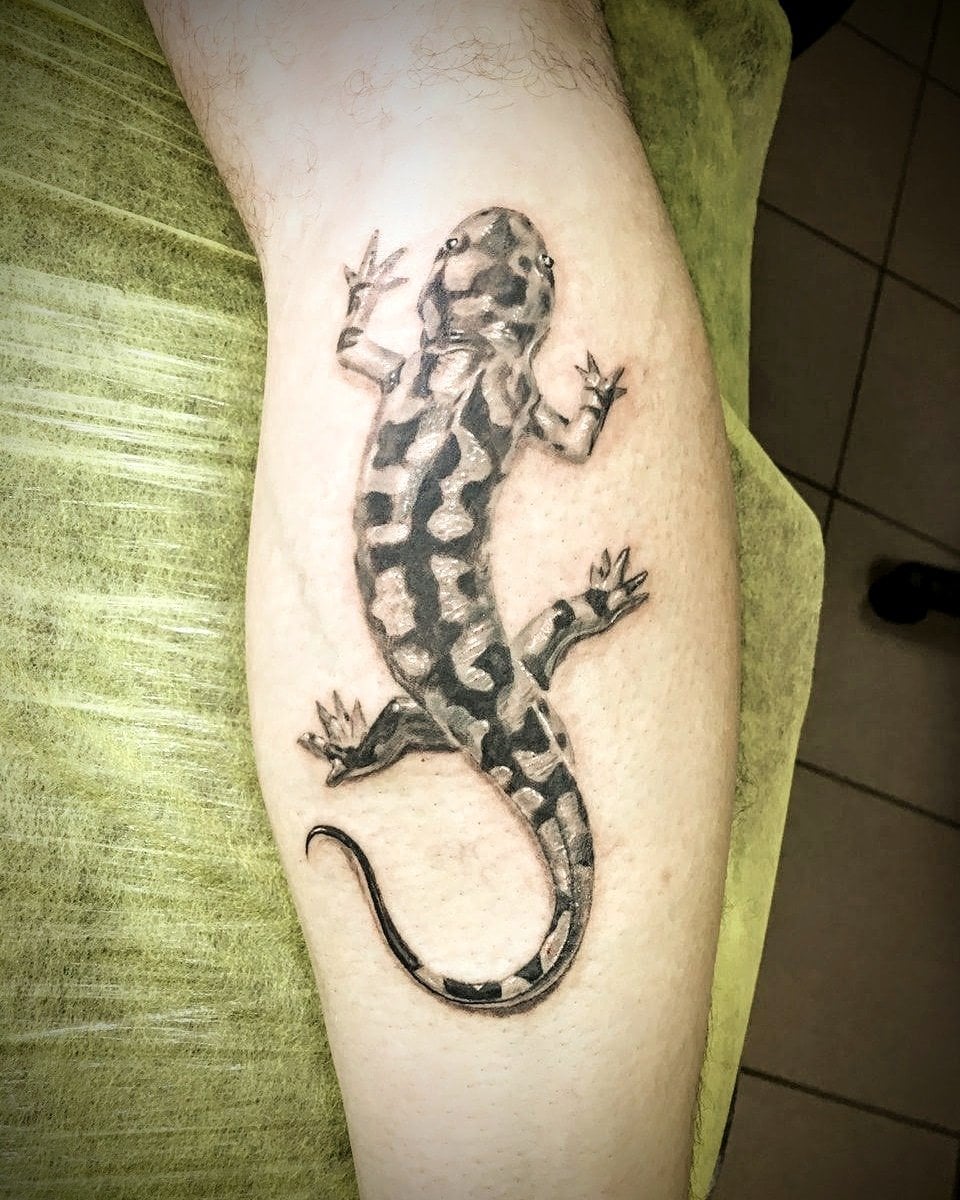 Хамелеон, фото - Тату салон Saba Tattoo Studio