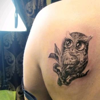 сова, на лопатці, тату сова