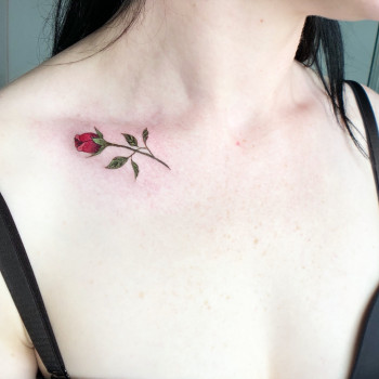 Художественная женская татуировка
                    Мастер перманентного макияжа Лидия Киев