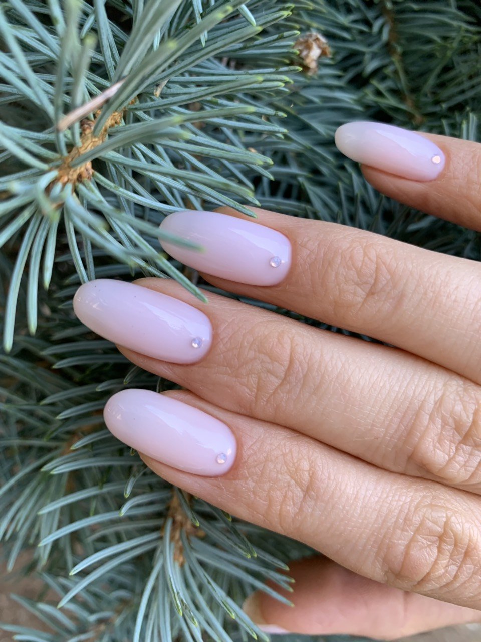 Ніжний манікюр рожевий на довгі нігті, фото -  Beauty Pro