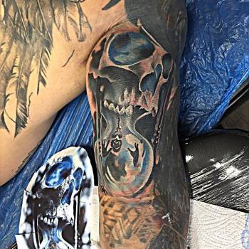 Гризли, Харьков Фото - 80