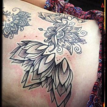 Гризли, Харьков Фото - 48