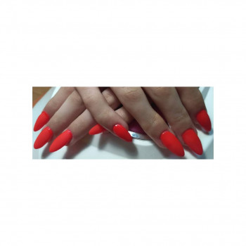 Маникюр
                    Салон красоты Beauty Style Professional Одесса