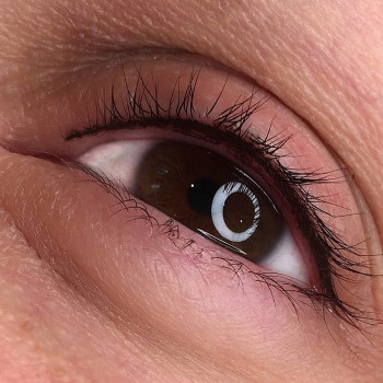 Татуаж глаз (век)
                    Студія татуажу Permanent Profy Київ