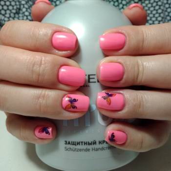 Фото с портфолио Анастасия Дмитриева 