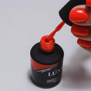 Curls, Киев Фото - 5