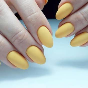 Фото с портфолио The Colors