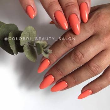 Colibri, Киев Фото - 5