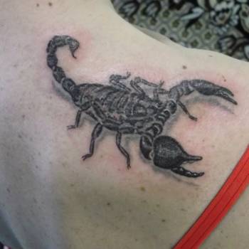 Татуировка Скорпиона на плече
