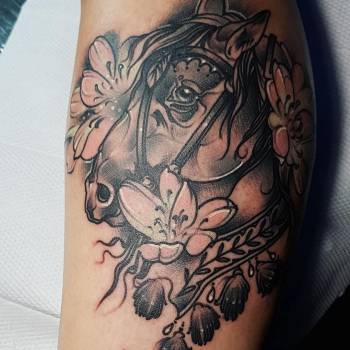 Александр Шалев , Миколаїв Фото - 11