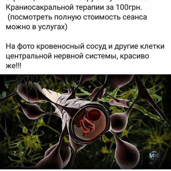 Фото с портфолио Дмитрий Асс