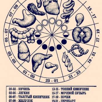 Фото с портфолио Дмитрий Асс