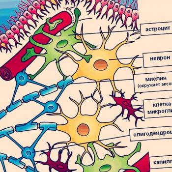 Фото с портфолио Дмитрий Асс