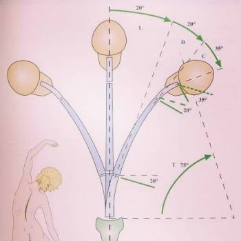Фото с портфолио Дмитрий Асс
