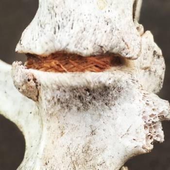 Фото с портфолио Дмитрий Асс