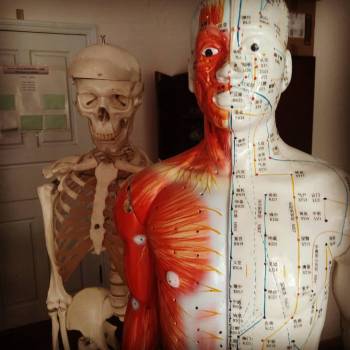 Фото с портфолио Дмитрий Асс