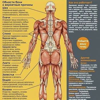 Фото с портфолио Дмитрий Асс