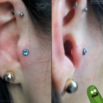 Трагус с голубым кристаллом 