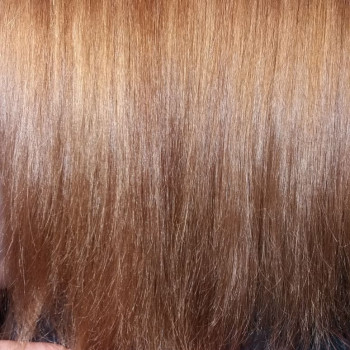 Фото с портфолио Jolie Hair