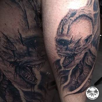 Фото с портфолио Александр Кревсун 