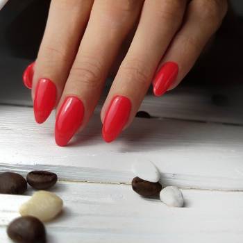 Vanilla House, Луцк Фото - 25