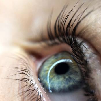 Фото с портфолио Валентина Землянская 