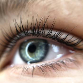 Фото с портфолио Валентина Землянская 